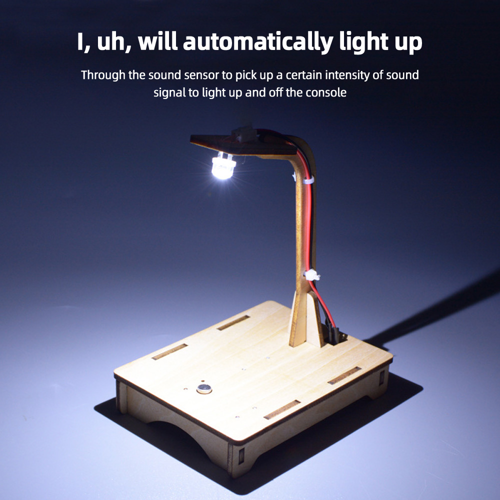 Renewable Energy Project - DIY Voice Sensor lamp Science and