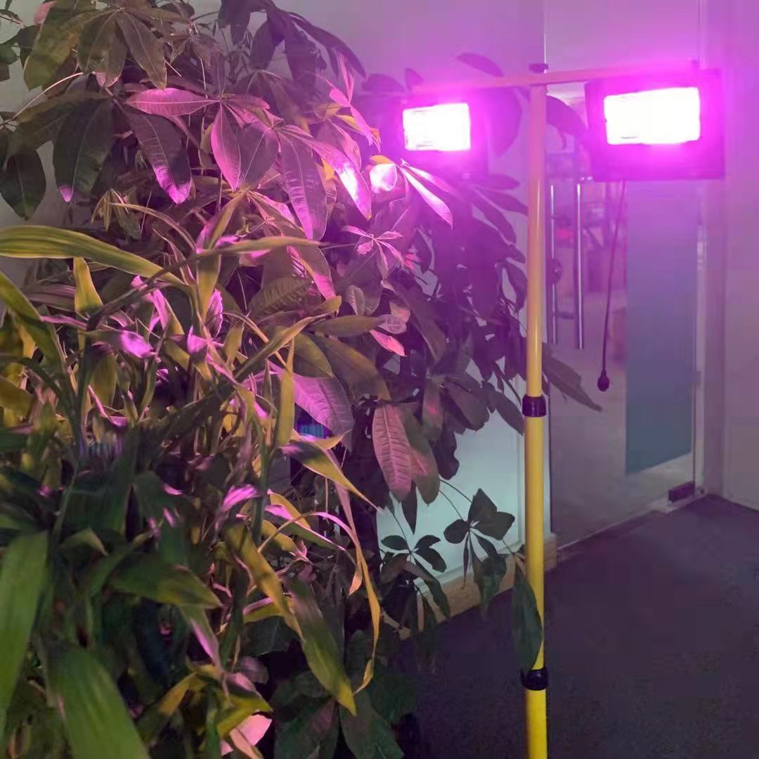35/60W Solar LED Grow Light Fu - Renewable Energy Project avaliação e preço